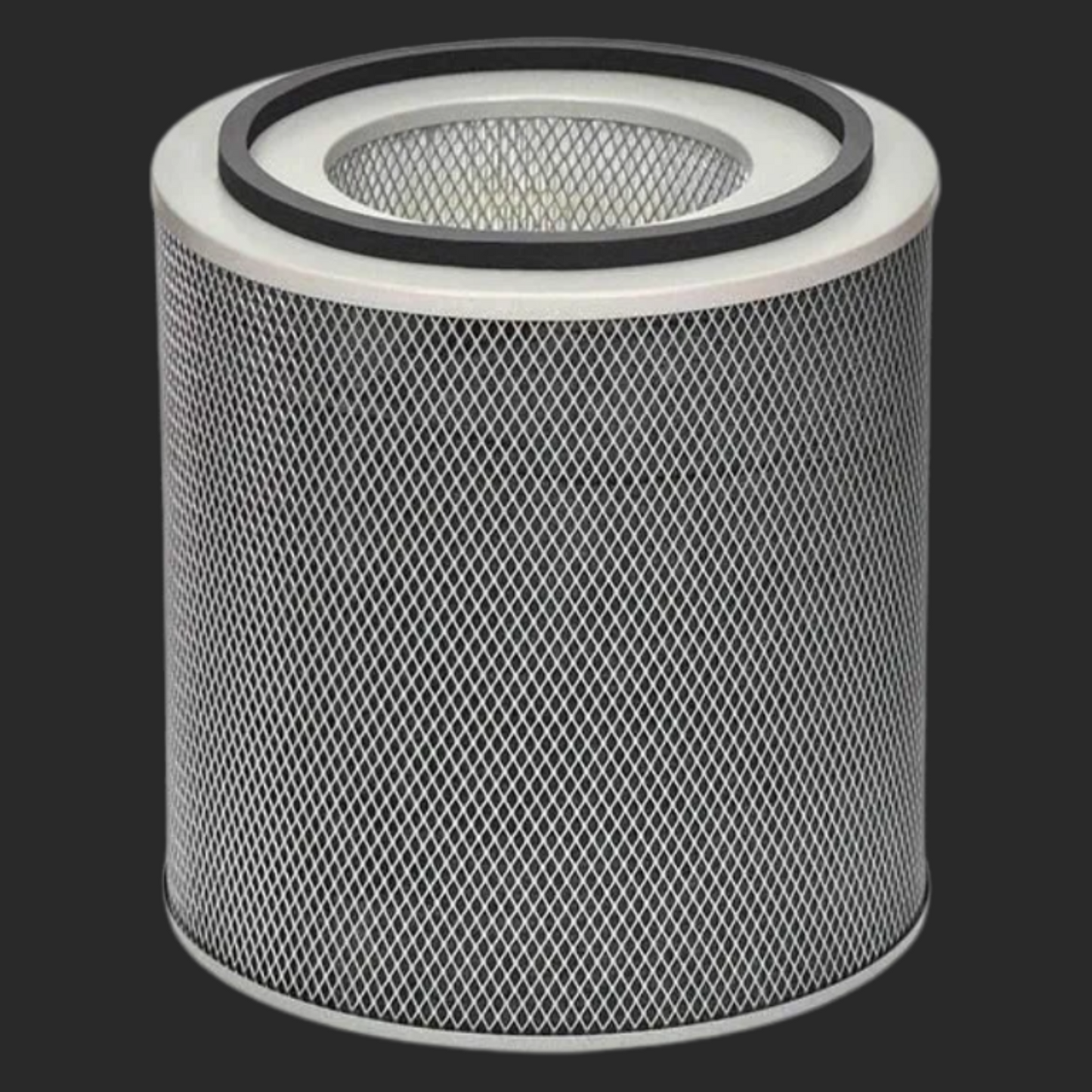 HealthMate400 Replacement Filter